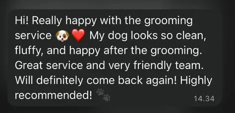 Screenshot of a customer testimonial for Dog Grooming Bali sent on WhatsApp