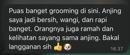 Screenshot of a customer testimonial for Dog Grooming Bali sent on WhatsApp