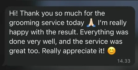 Screenshot of a customer testimonial for Dog Grooming Bali sent on WhatsApp